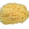Bebeconfort  spugna naturale