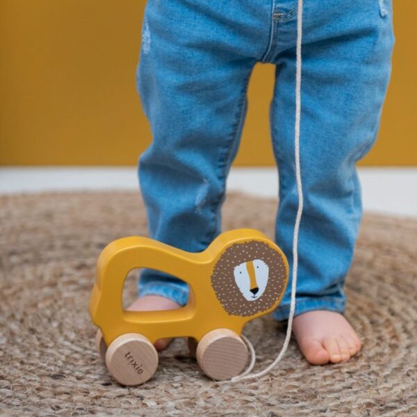 Trixie pull along toy mr lion leone in legno