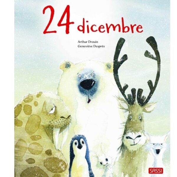 Sassi libro illustrato 24 dicembre
