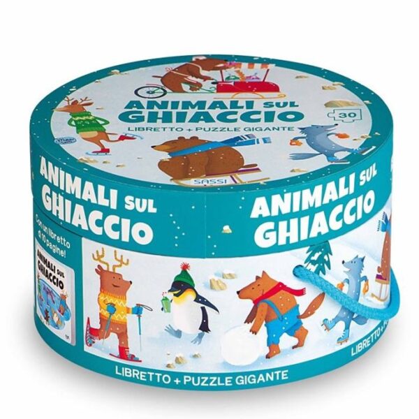 Sassi box animali sul ghiaccio