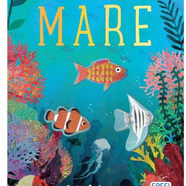 Sassi libro illustrato mare
