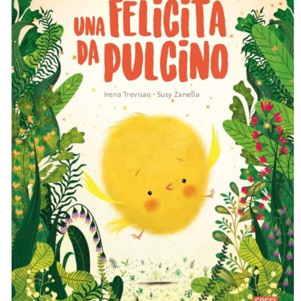 Sassi libro illustrato una felicitÀ da pulcino