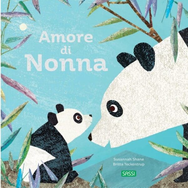 Sassi libro illustrato amore di nonna