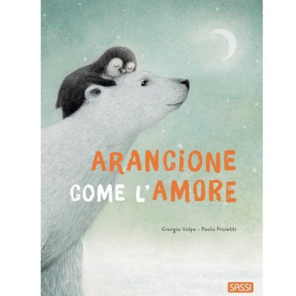 Sassi libro illustrato arancione come l'amore