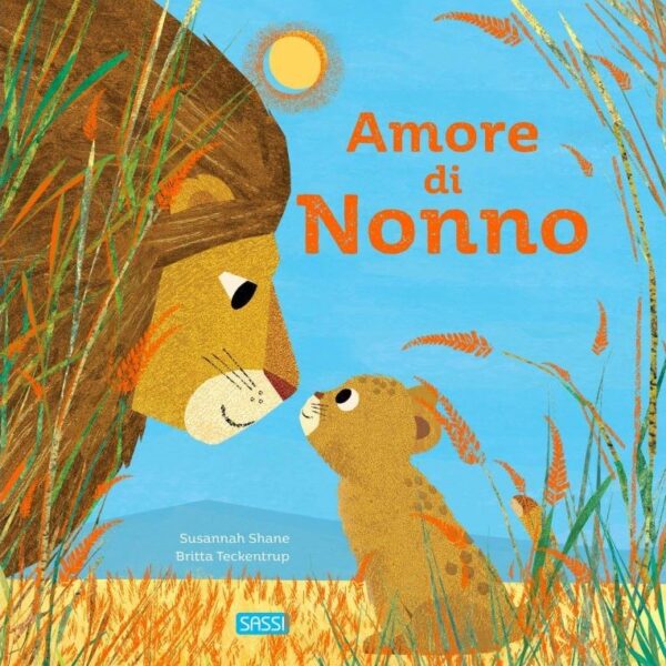 Sassi libro illustrato amore di nonno