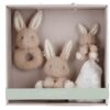 Little dutch set regalo