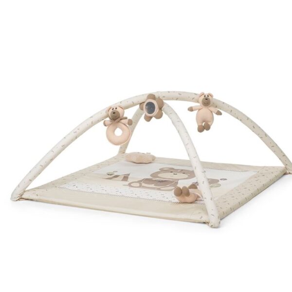 Foppapedretti trainer palestrina augh