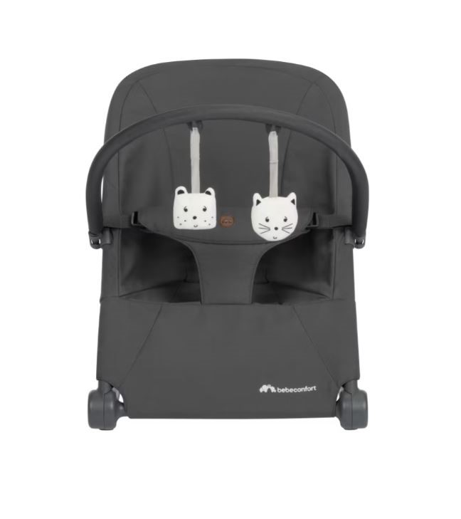 Bebeconfort aster mineral graphite