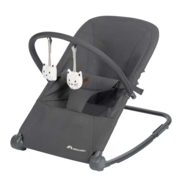 Bebeconfort aster mineral graphite