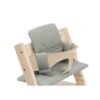 Stokke tripp trapp classic cushion glacier green