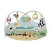 5A8F1FD4B9A92D8DE9565E9B07C4191D_ Tiny love dinamic gymini farmers funday playmats