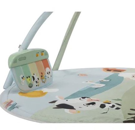 6784822B3EEF005329607036560AFC5B_ Tiny love dinamic gymini farmers funday playmats