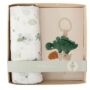 Bimbidreams set regalo mussola + tettarella trex verde